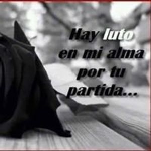 Meet your Posher, Marcelo